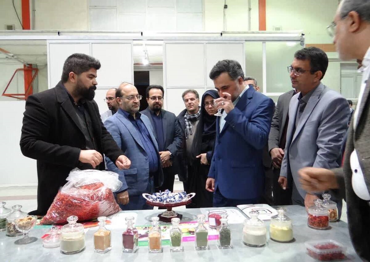 بازدید معاون علمی، فناوری و اقتصاد دانش‌بنیان رئیس جمهور از دستاوردهای فناورانه دانشگاه آزاد اصفهان