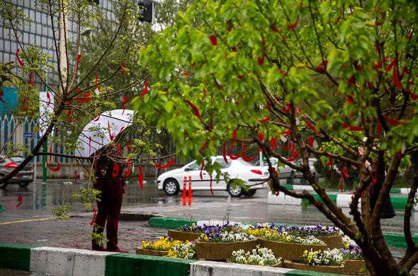 هواشناسی ایران / پیش‌بینی بارش‌های قابل ملاحظه در اولین روز بهار