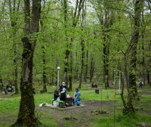 جنگل های شمال سالها درانتظار تهیه اطلس طبیعت‌گردی؛ از حفاظت تا توسعه گردشگری