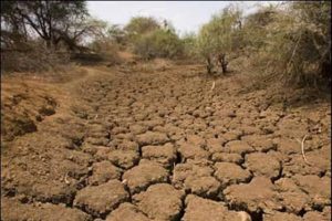 راه گذر از بحران خشکسالی «تغییر الگوی کشت» است