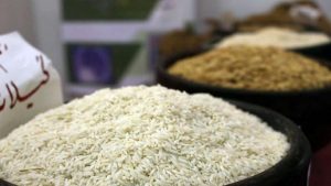 خودکفایی برنج طی برنامه ۵ ساله دست‌یافتنی است