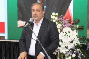 دام‌ها در مزارع سبز گندم در حال چرا هستند