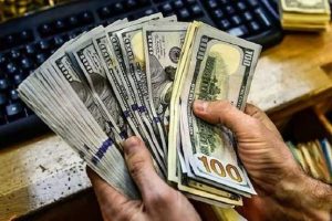 انتقال یارانه ارزی به مصرف کننده، سیاست درست دولت بود