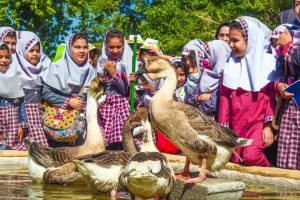 بازدید بیش از ۶ هزار نفر از رویداد گردشگری “طبیعت محله من”