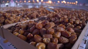 پتانسیل صادرات یک میلیارد دلار خرما به بازار‌های هدف وجود دارد