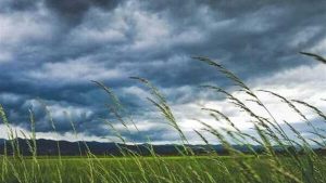 زاگرس؛ ستون فقرات زیست‌بوم ایران در معرض بحرانی بی‌سابقه