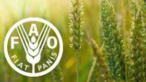 سیگنال مثبت مذاکرات ایران و آمریکا | ایران به فائو برگشت