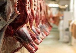 خودکفایی گوشت، قربانی رانت واردات شد