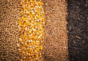 واردات نهاده ۲۰درصد ارزان‌تر، از ادعا تا واقعیت