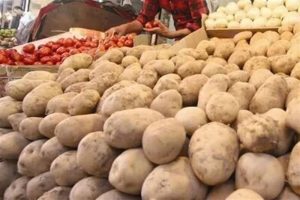 بهای سیاست‌های ناپایدار؛ از زیان کشاورز تا گرانی صیفی‌جات
